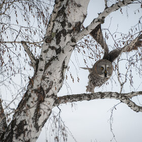 ��������� ������� - ��������� ����������� ��������!